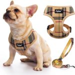 Dog Harness PUPTECK Lightweight Mesh Vest-0