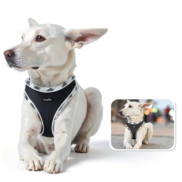 Haapaw Dog Harness and Leash Set Air Mesh Reflective Safety XS to XL-4