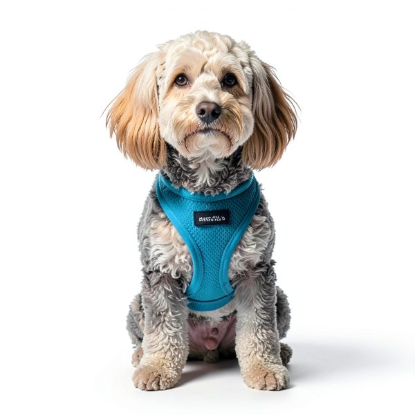 Haapaw Dog Harness and Leash Set Air Mesh Reflective Adjustable Size-5