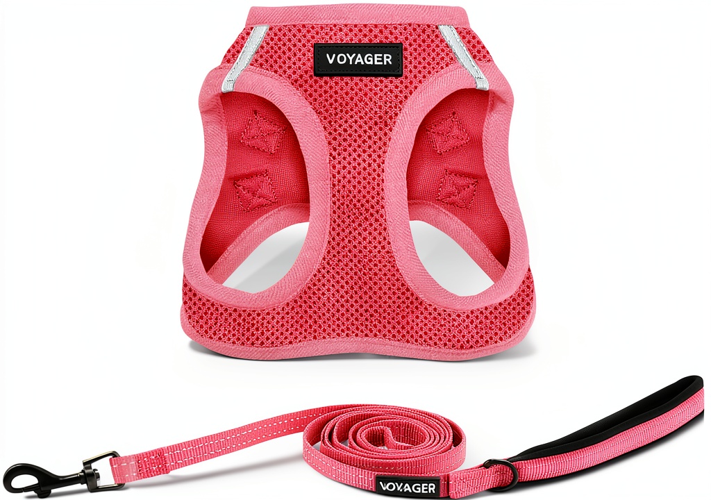 Puppy wearing mesh dog vest harness on a park trail