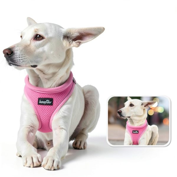 Haapaw Dog Harness and Leash Set Breathable Mesh Step‑In Reflective-4