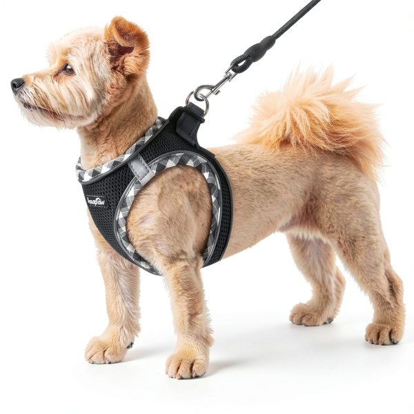 Haapaw Dog Harness and Leash Set Air Mesh Reflective Safety XS to XL-3