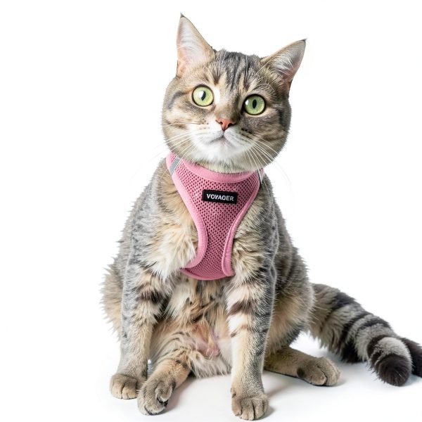 Dog Vest Harness Best Pet Supplies Mesh Design-7