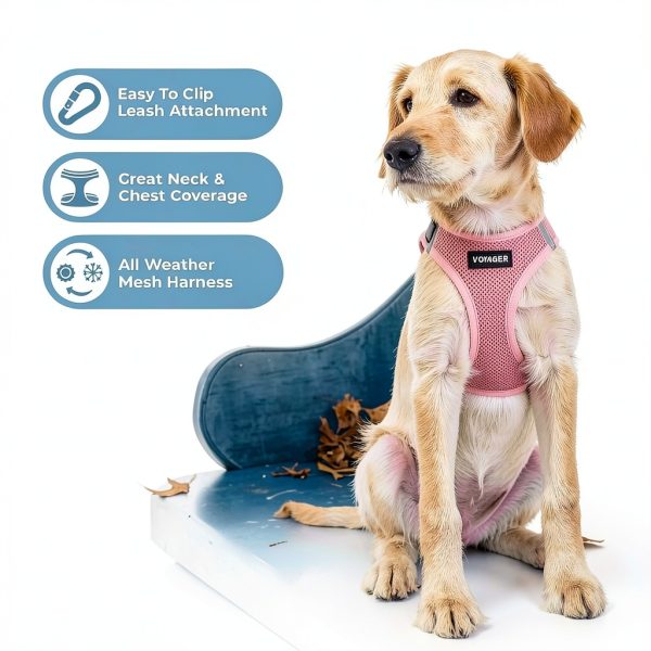 Dog Vest Harness Best Pet Supplies Mesh Design-4