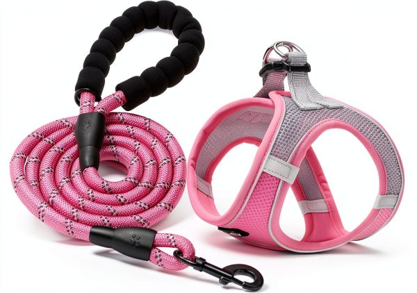 Haapaw Dog Harness and Leash Set Breathable Mesh Step‑In Reflective-0