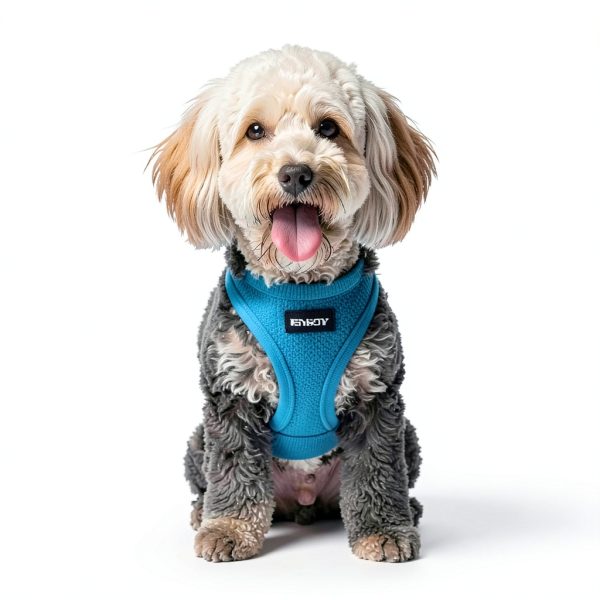 Haapaw Dog Harness and Leash Set Breathable Mesh Step‑In Reflective-5