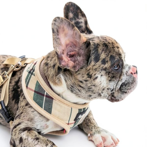 Dog Harness PUPTECK Lightweight Mesh Vest-7