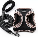 Haapaw Dog Harness and Leash Set Air Mesh Reflective Safety XS to XL-0