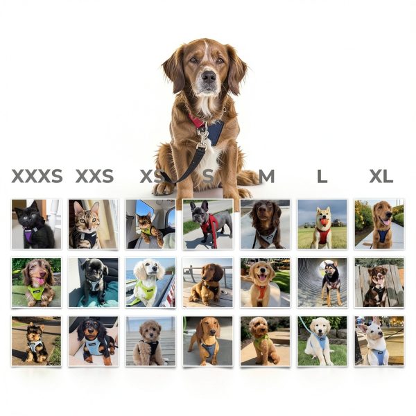 Dog Vest Harness Best Pet Supplies Mesh Design-5