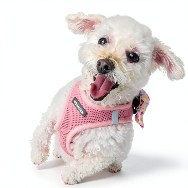 Dog Vest Harness Best Pet Supplies Mesh Design-6