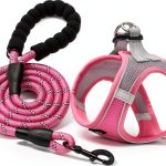 Haapaw Dog Harness and Leash Set Air Mesh Reflective Adjustable Size-0