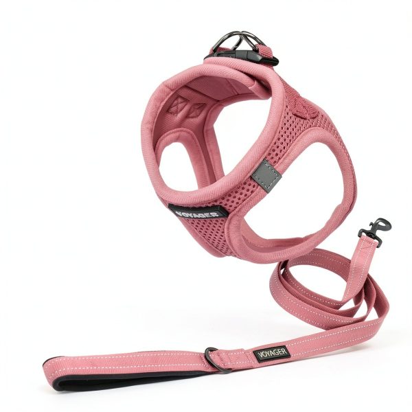 Dog Vest Harness Best Pet Supplies Mesh Design-2