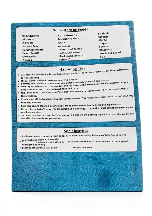 Puppy Health Folder by Whitman Daughter Organized Record-3